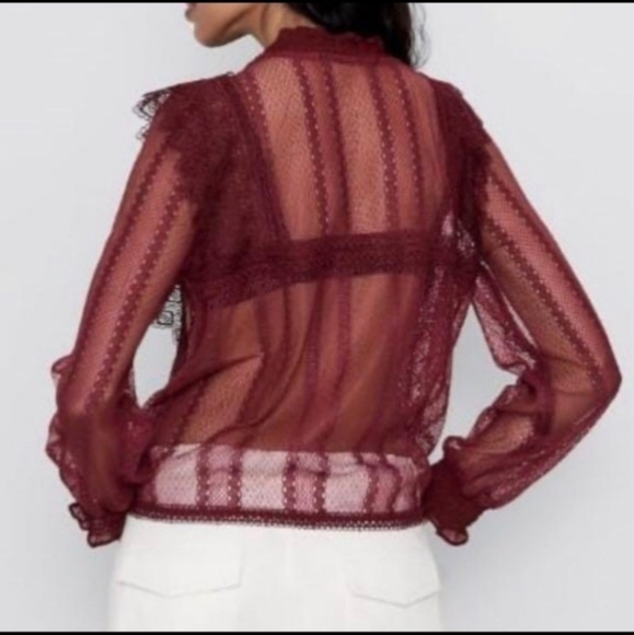 Zara‎ Burgundy Sheer Lace Top - Picture 2 of 10